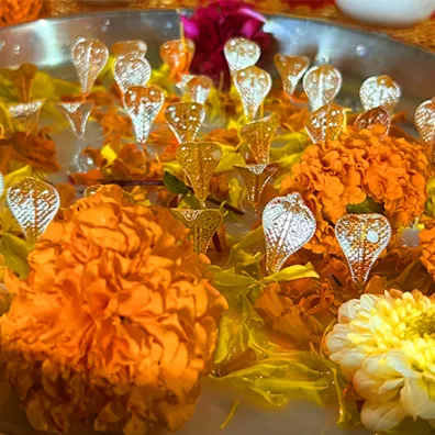 कालसर्प दोष निवारण पूजा त्र्यंबकेश्वर