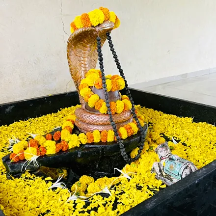 महामृत्युंजय जाप त्र्यंबकेश्वर