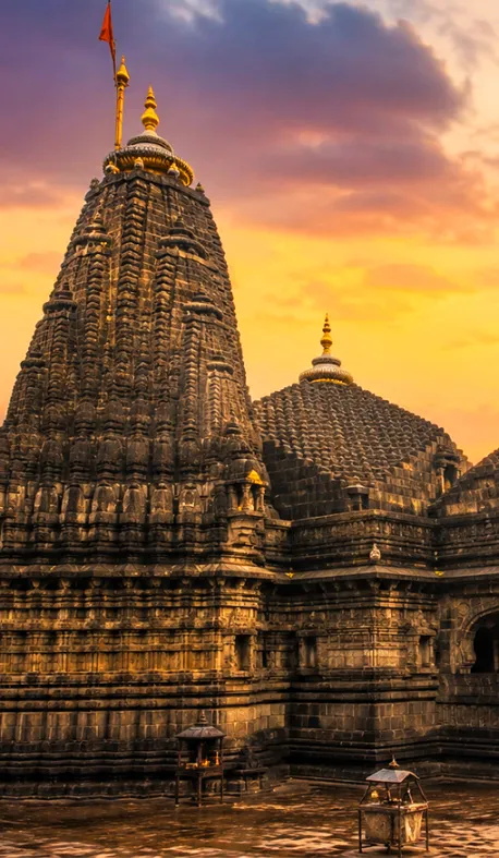 पंडित अनिलेश गुरुजी