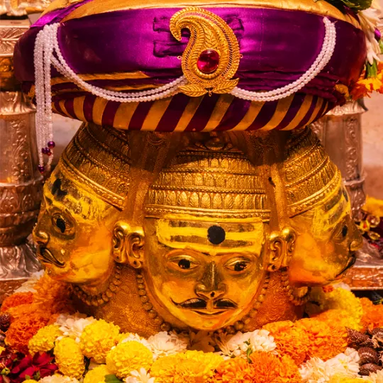 पंडित अनिलेश गुरुजी त्र्यंबकेश्वर